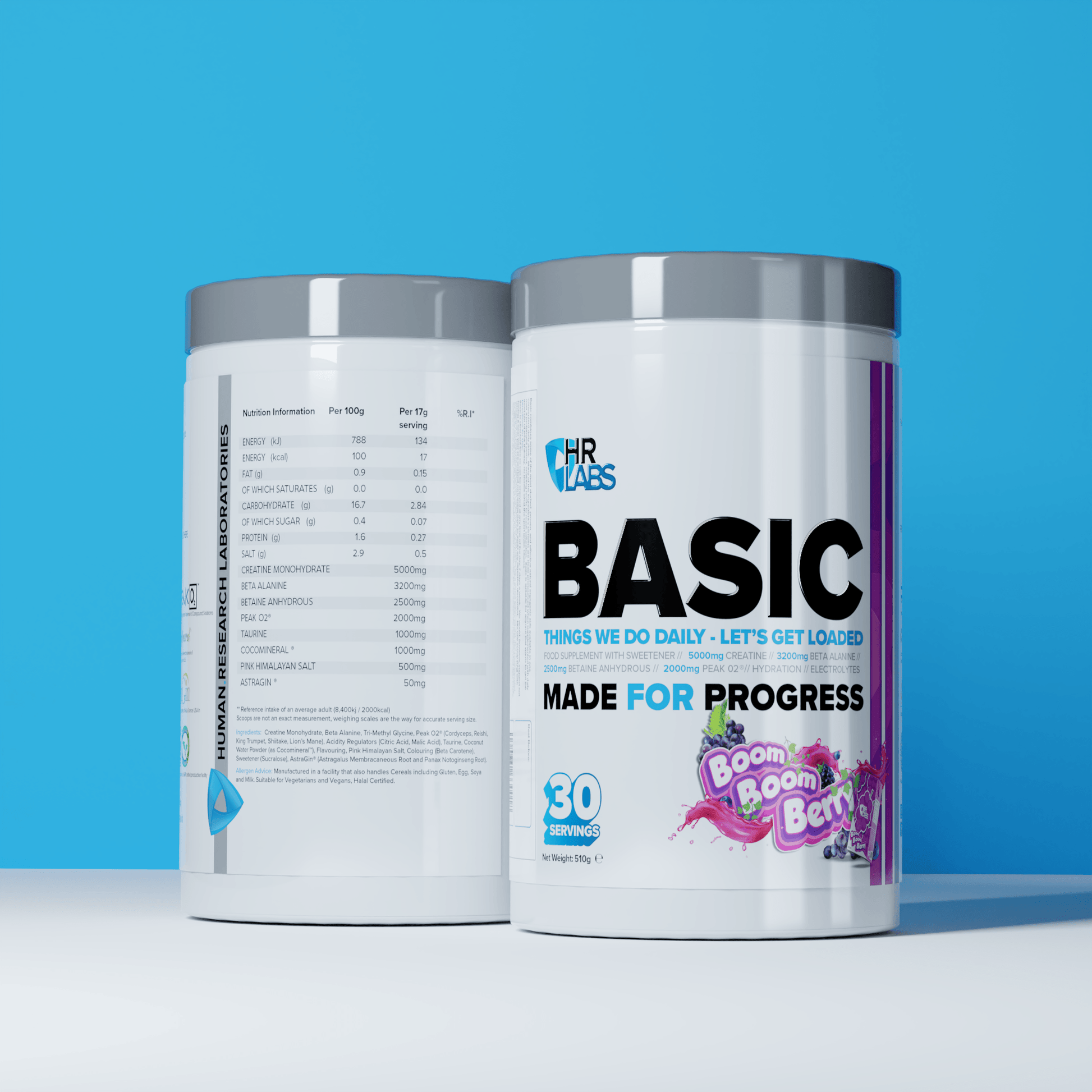 BASIC - HRLabs