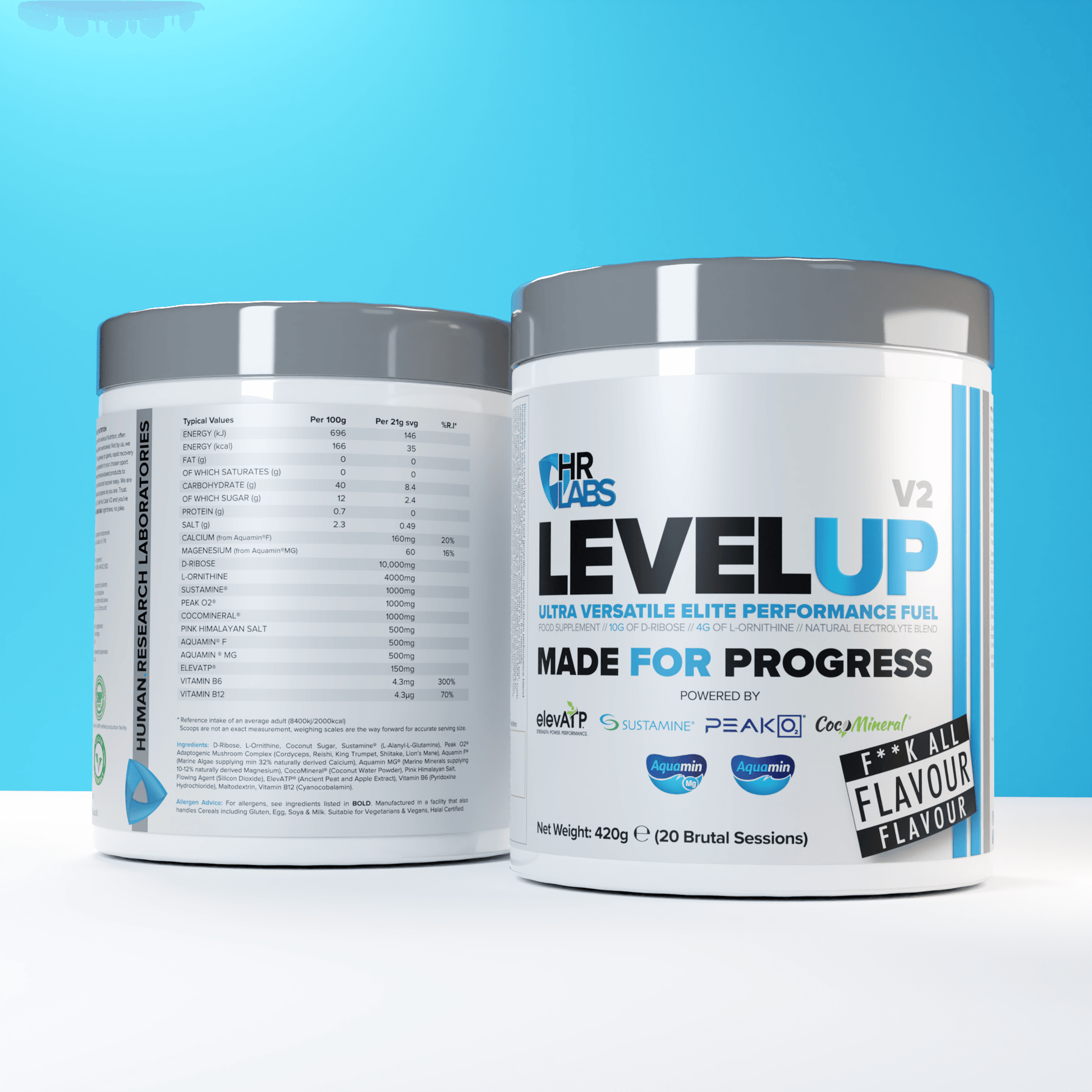 LEVEL UP V2 - HRLabs