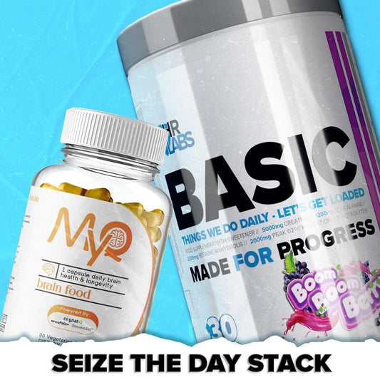 SEIZE THE DAY STACK - HRLabs